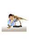 T.Rex Replica Skeleton 91082 - 3