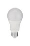 E27 14W LED Bulb, Daylight - 4