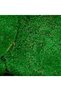 Mușchi (Moss) - 4