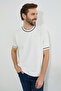 Striped Crew Neck Knitwear T-Shirt - 6