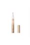 Plumping Lip Glaze Lip Gloss (Clear) - 2