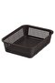 Fruit Tray, Medium, Assorted - 3