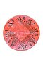 Rangoli Stencil, Assorted - 2