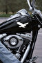 Eagle Silhouette Car Sticker - Car Sticker - Predator Bird Sticker 15X8Cm - 4