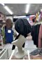 Scarf Bonnet Cotton Fabric Non-Slip Black Color - 6
