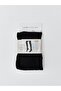 100 Denier Women's Pantyhose (W5)