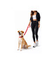 Solid Color Leash - 7