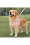Patterned Recycled H-Type Harness - 4