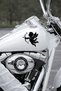 Love Angel Car Sticker - Arrow-Shooting Angel Auto Sticker - Vehicle Sticker 15X14Cm - 6
