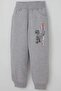 Boys' Tracksuit Set with Dinosaur Camp Back Print Detail, Ages 2-6, Mint Green - 7