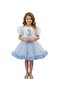 D' Daniela - Elsa Twinkle Princess Tulle Dress - Blue - 1Y to 8Y - 2