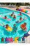Swimming Board Turtle Model - 2