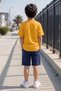 Busekids Boys' Multi-Colored Printed Summer Favorite Shorts Set - 5