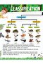 Explore Animal Kingdom Encyclopedia - 3