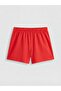 Teddy Bear Printed Women's Shorts Pajama Set (S6) - 4