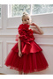 Girls One Shoulder Big Ruffled Flower Detail Mesh Party Dress - 5