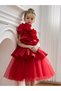 Girls One Shoulder Big Ruffled Flower Detail Mesh Party Dress - 3