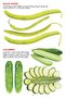 My Jumbo Book - VEGETABLE - 4