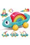 Rainbow Chameleon