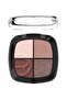 Eye & Cheek Quad - 04 Winter Cold Quad Eyeshadow وBlush Palette