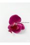Pink Orchid Buckle - 2