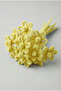 100 Pieces Light Yellow Chenille 30cm, Fuzzy Plush Velvet Wire, Handicraft, Flower, Gift, Decoration, School Activity - 2