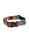 Pettagart Adjustable Colorful Striped Dog Collar