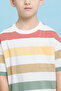 Striped T-Shirt with Crew Neck and Short Sleeves - 6