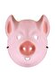 Wild Faces- Pig