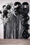 2026 Graduation Party Set – Black and Silver Balloon Set Pole Star Concept