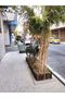 Wooden Picket Fence Wooden Garden Border Landscape Edging Border - 5