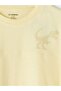 Dinosaur Printed Boys' T-Shirt and Shorts Set (S6) - 6