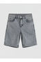 Lcw Kids Gray Boy's Jean Shorts - 2