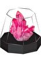 Curious Universe Crystal Growing Kit - 6