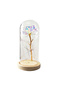 Enchanted Galaxy Rose in Glass Dome – Led Light Up Forever Rose - 3