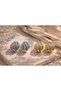 Zr Model Women's Silver and Gold Color Curved Mesh Design Earrings Modern Stylish Daily Use - 4