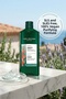 Purifying Shampoo Oily Hair Sebum Balancing Vegan 300 ml - 3