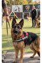 Tactical Dog Chest Harness with Reflective Adjustable Clip - Red - 3