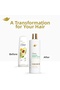 Avocado Anti-Hair Loss Hair Care Cream 350 ml - 2