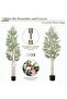 Double Pole Detachable Artificial Olive Tree - 210cm Realistic Home & Office Decoration - 4