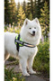 K9 Dog Chest Harness Reflective Adjustable Professional Training Vest - 3
