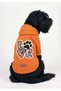 Orange Hoodie Love - Cat and Dog Outfit & Dress