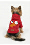 Cat and Dog Outfit & Gown - Red Hoodie Vector Bird