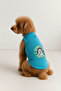 Cat and Dog Outfit & Dress - Turquoise Starpugs Tank Top