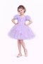 Girl's Rose Party Outfit Birthday and Performance Costume Dress Age 2/12