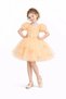 Girl's Rose Party Outfit Birthday and Performance Costume Dress