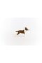 Bull Terrier 13966 - 5