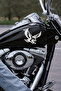 Eagle Car Sticker - Strong Eagle Sticker - Car Engine Sticker 15X14Cm - 4