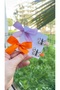 Colorfly Children's 4-Piece Buckle Set-2 Butterflies, 2 Ribbons - 2
