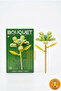Green Balloon Flower Making Kit - Non-Fading Crystal Artificial Flower - 82 Pieces Decorative Lego Block Flower - 2